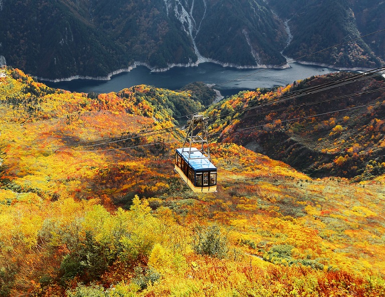 【日本好久不見】立山黑部、上高地、惠那峽遊船、掃帚草、童話合掌村、雙溫泉5天